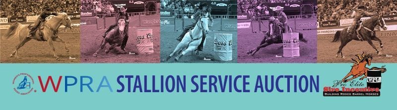 WPRA PESI Stallion Auction Opens October 10, 2026