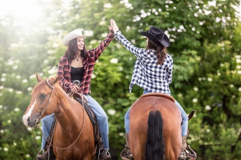 How to Maximize Fundraising in a Stallion Service Auction