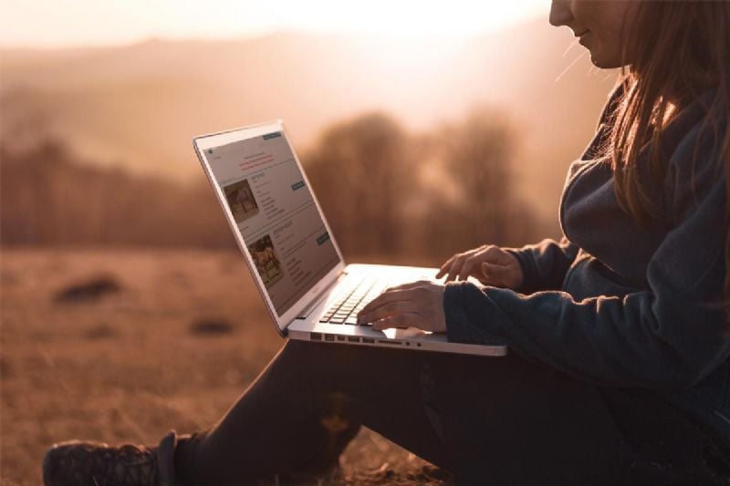 What to Expect in Your First Year of Online Bidding