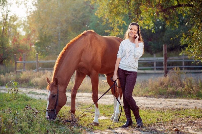How to Recruit Stallion Donations for Your Association Fundraiser